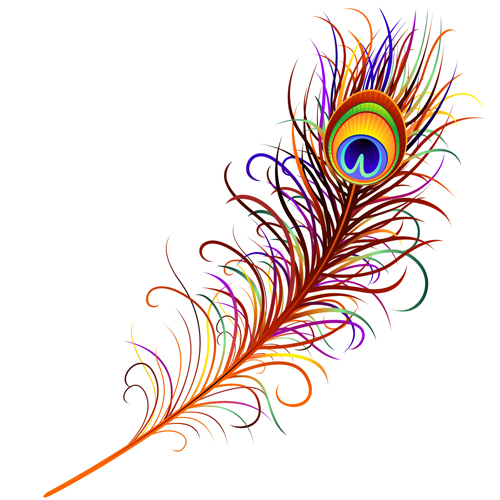 Feather design elements vector Illustration 01