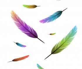 Feather design elements vector Illustration 03