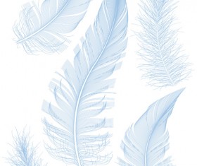 Feather design elements vector Illustration 04