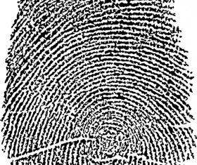 Different Fingerprints design elements vector 08