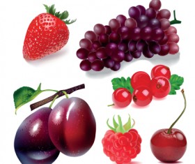 Various Fresh fruit design elements vector 01