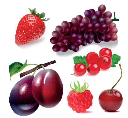 Various Fresh fruit design elements vector 01