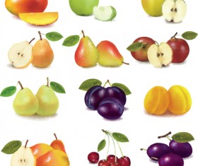 Various Fresh fruit design elements vector 02