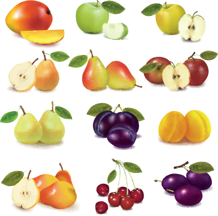 Various Fresh fruit design elements vector 02