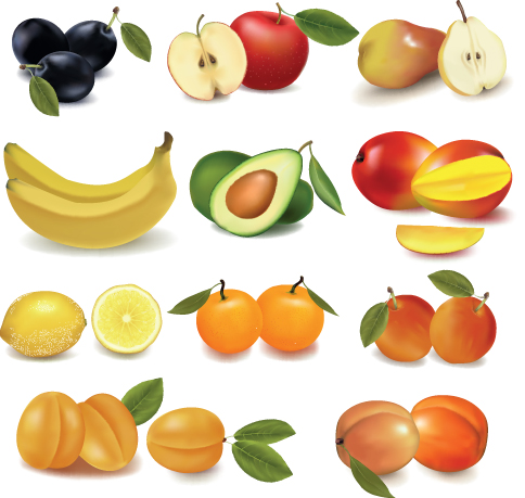 Various Fresh fruit design elements vector 03