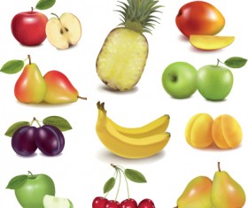 Various Fresh fruit design elements vector 04