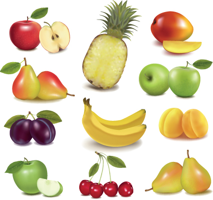 Various Fresh fruit design elements vector 04