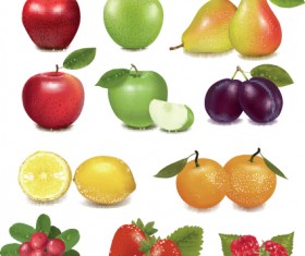 Various Fresh fruit design elements vector 05