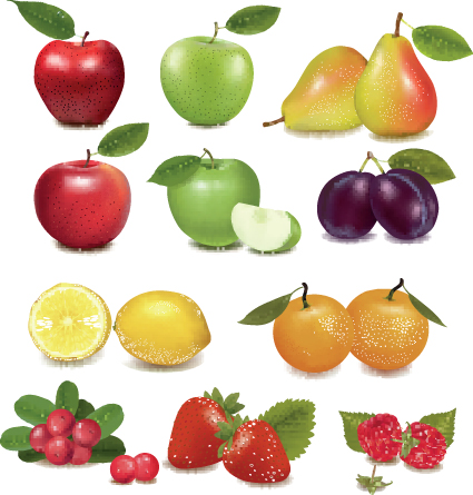 Various Fresh fruit design elements vector 05