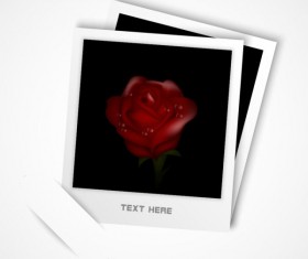 Vector Photo Frame design elements 02