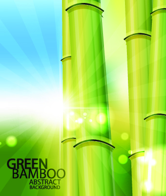 Vector Bamboo design elements background 01
