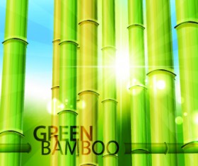 Vector Bamboo design elements background 02