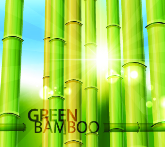 Vector Bamboo design elements background 02
