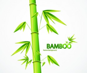 Vector Bamboo design elements background 03