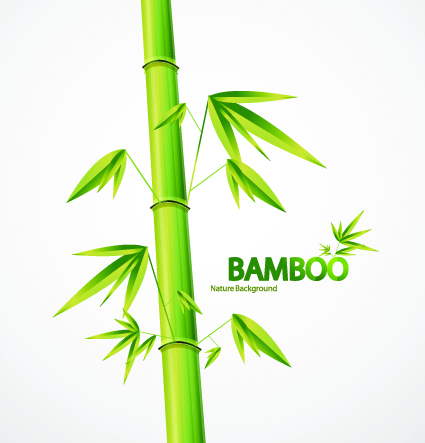 Vector Bamboo design elements background 03