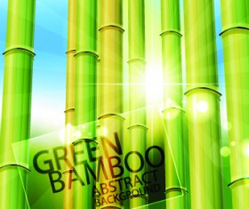 Vector Bamboo design elements background 04