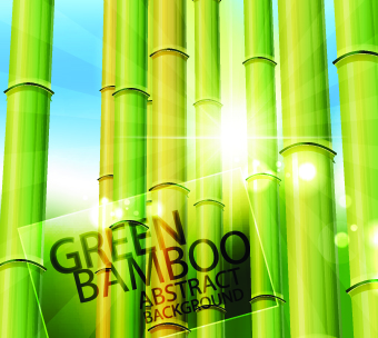 Vector Bamboo design elements background 04