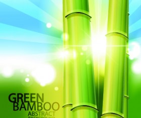 Vector Bamboo design elements background 05