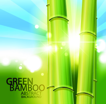Vector Bamboo design elements background 05