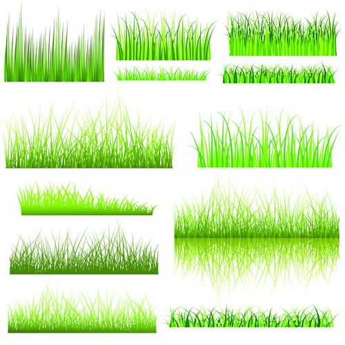 Vector Green Grass Elements set 06