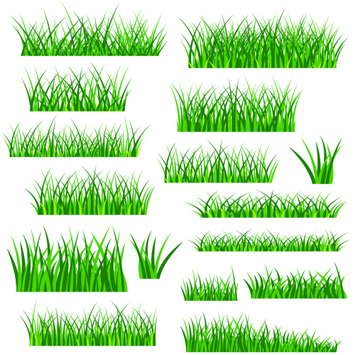 Vector Green Grass Elements set 09