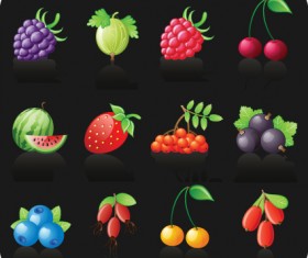 Icons different Fruits vector