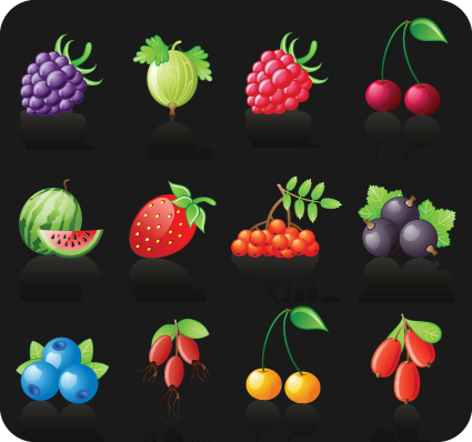 Icons different Fruits vector