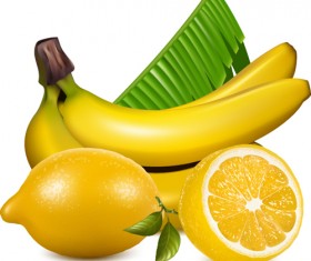 Set of Realistic Fruit elements vector 04