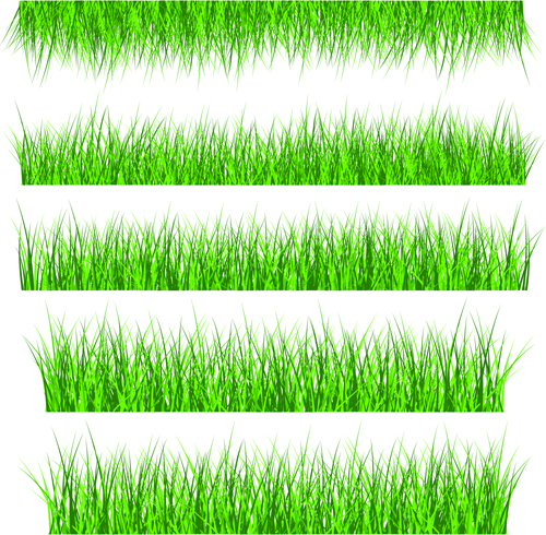 Vector Green Grass Elements set 01