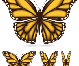 Different color butterfly sample vector 01