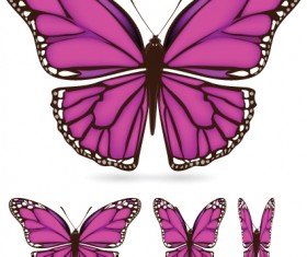 Different color butterfly sample vector 02