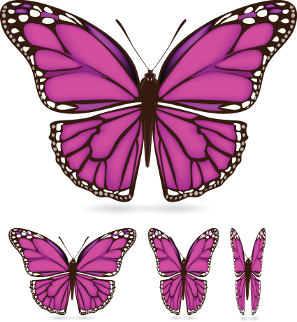 Different color butterfly sample vector 02