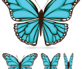 Different color butterfly sample vector 03