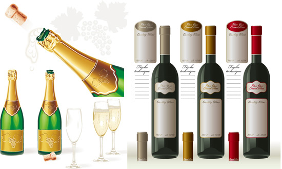 Wine champagne vector