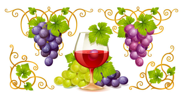Grape and wine vector set