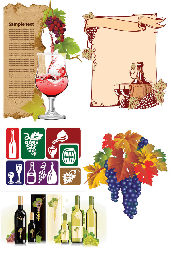 Wine and grape vector graphics