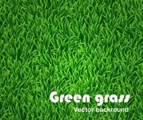 Green Grass background 01