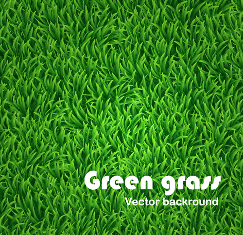 Green Grass background 01
