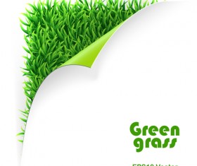 Green Grass background 02