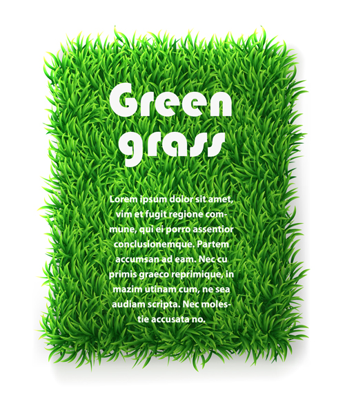 Green Grass background 03