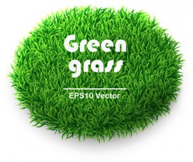Green Grass background 04