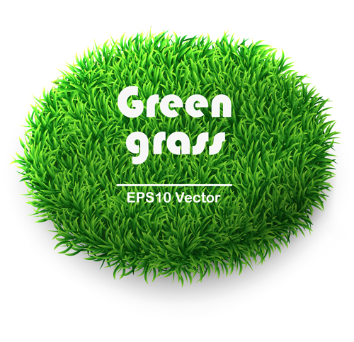 Green Grass background 04