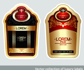 Luxury Vintage label vector 04