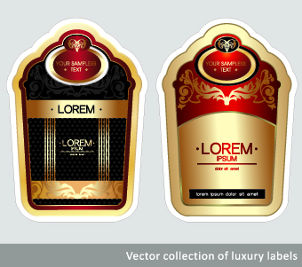 Luxury Vintage label vector 04