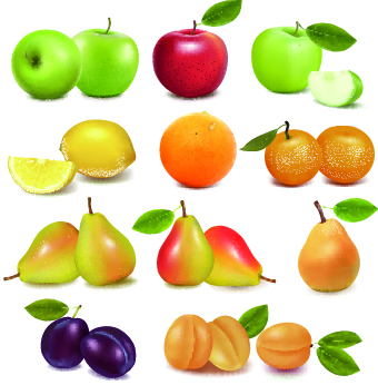 Realistic fruit vector Illustration set 01