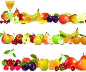 Realistic fruit vector Illustration set 03