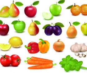 Realistic fruit vector Illustration set 04