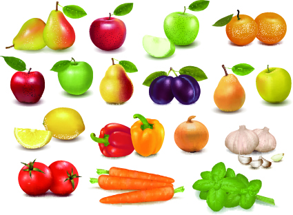 Realistic fruit vector Illustration set 04