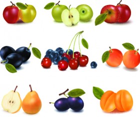 Realistic fruit vector Illustration set 05