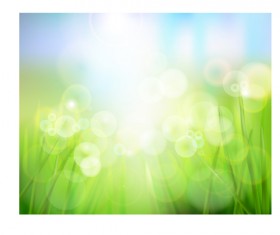 Bright Spring backgrounds 05